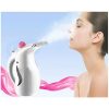 Facial Beauty Steam Wrinkles Remover And Cloth Steamer